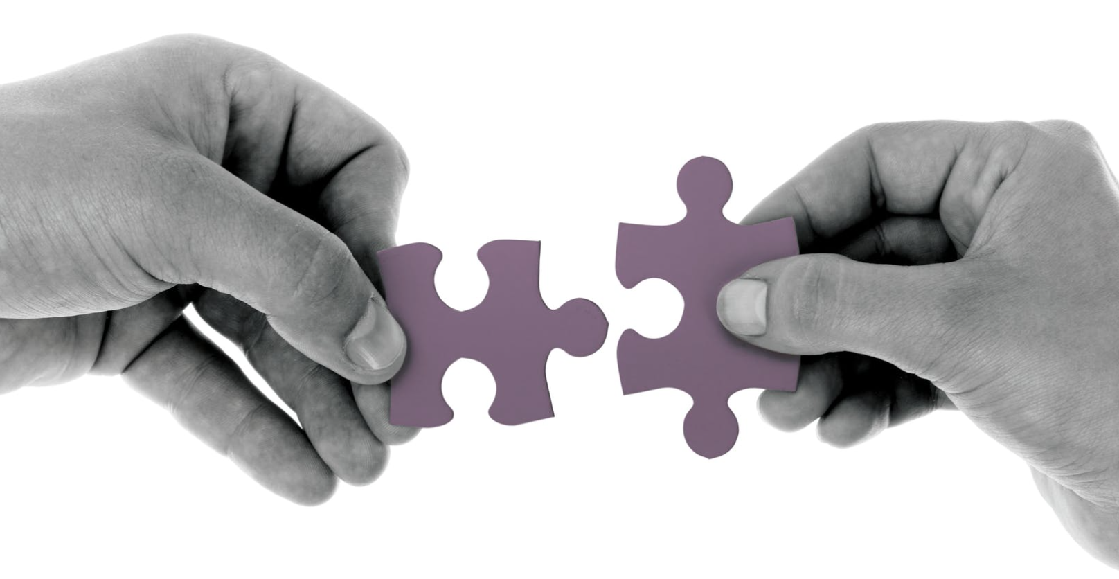 make the puzzle complete partnership